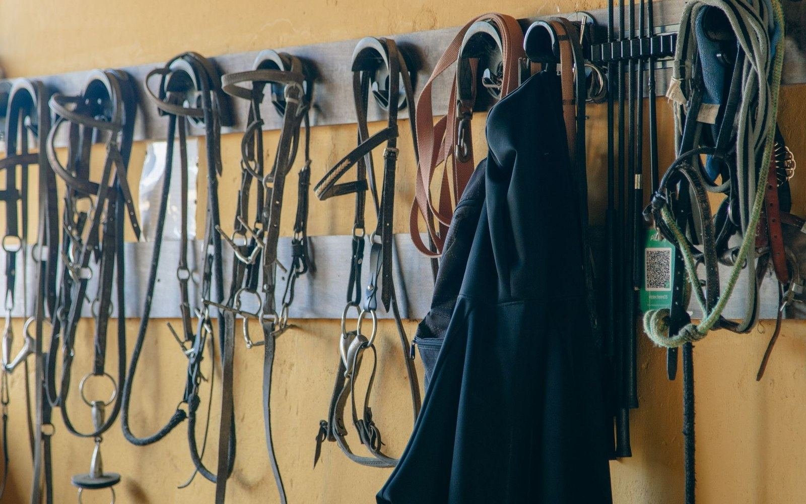 Worn tack hanging in a stable passage
