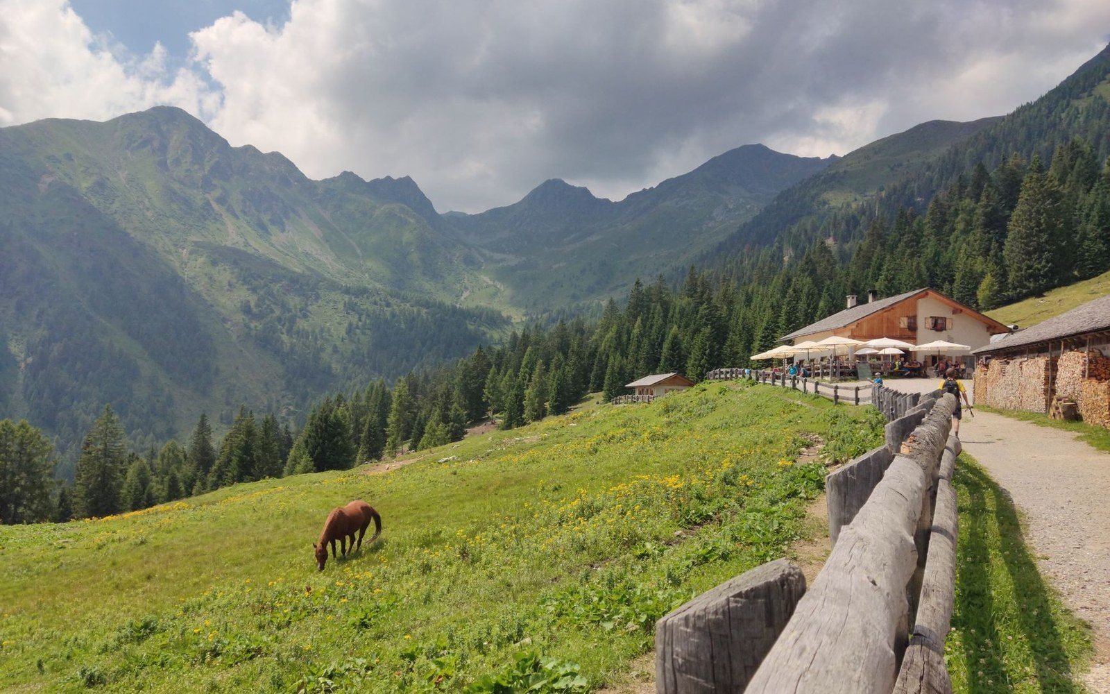 A horse grazes on a mountain meadow beside a rustic alpine hut with umbrellas