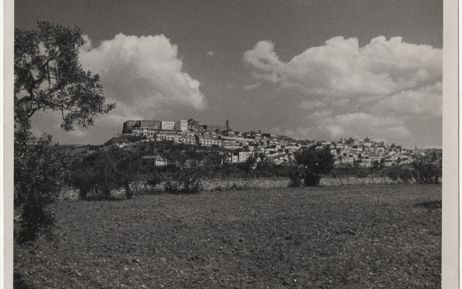 Hilltop town on the Murge plateau viewed across a plowed field with olive trees